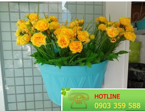 Chậu Nhật Bản ốp tường thông minh